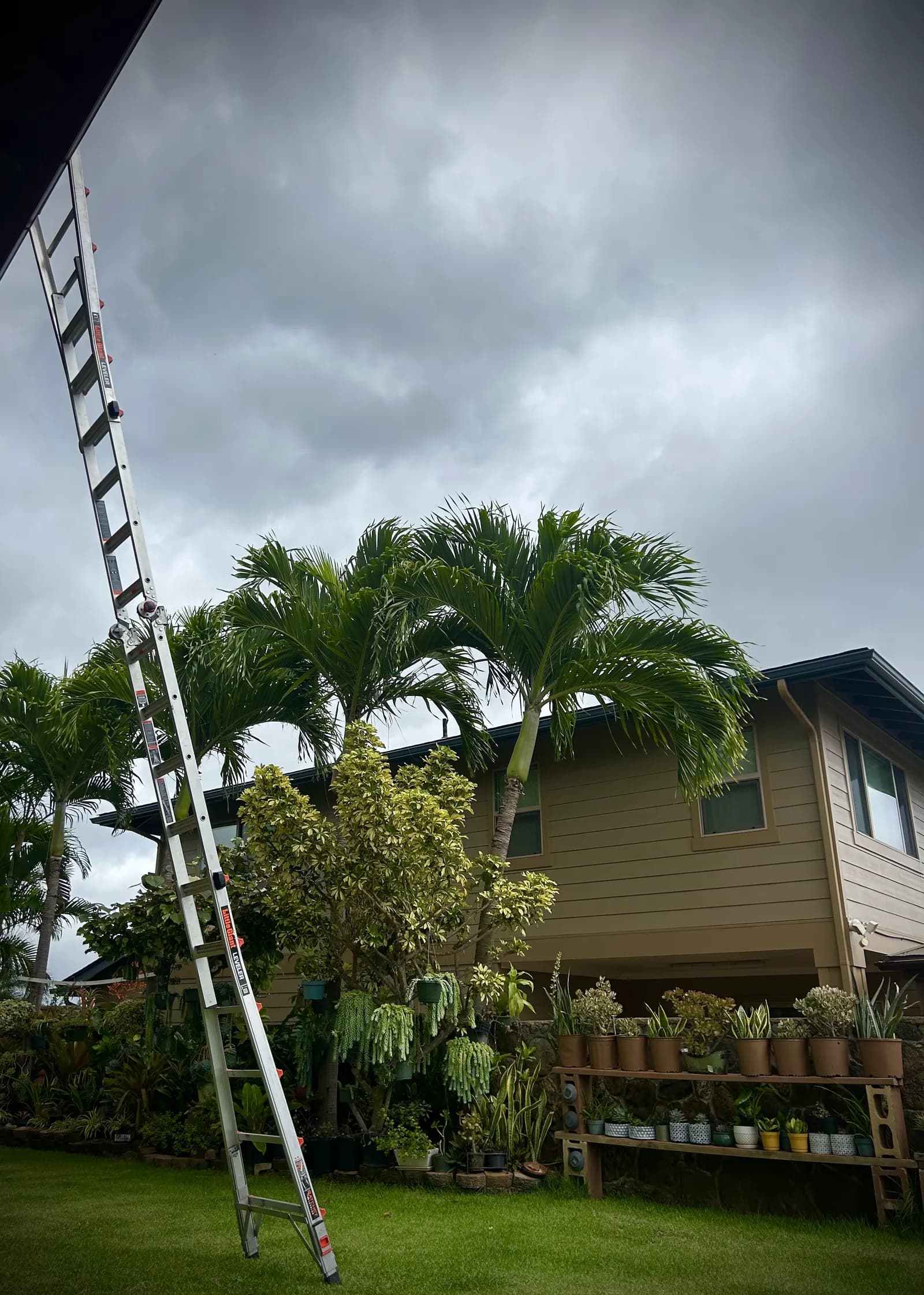 An extension ladder set against a two-story house between palm trees under a stormy Hawaii sky